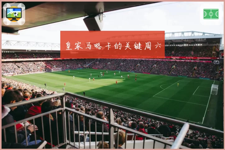 新疆伊力特阿不都沙拉木vs上海久事王哲林：本土核心MVP竞争者数据全维度剖析